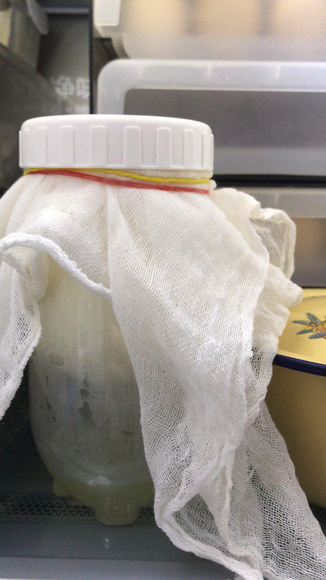 自制奶酪（酸奶版）