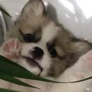 本美貌又在营业了