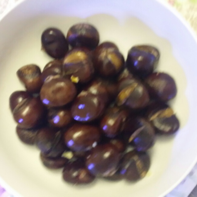 慵懒美丽的栗子