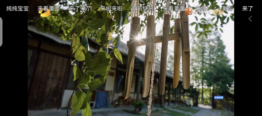 凉拌菜