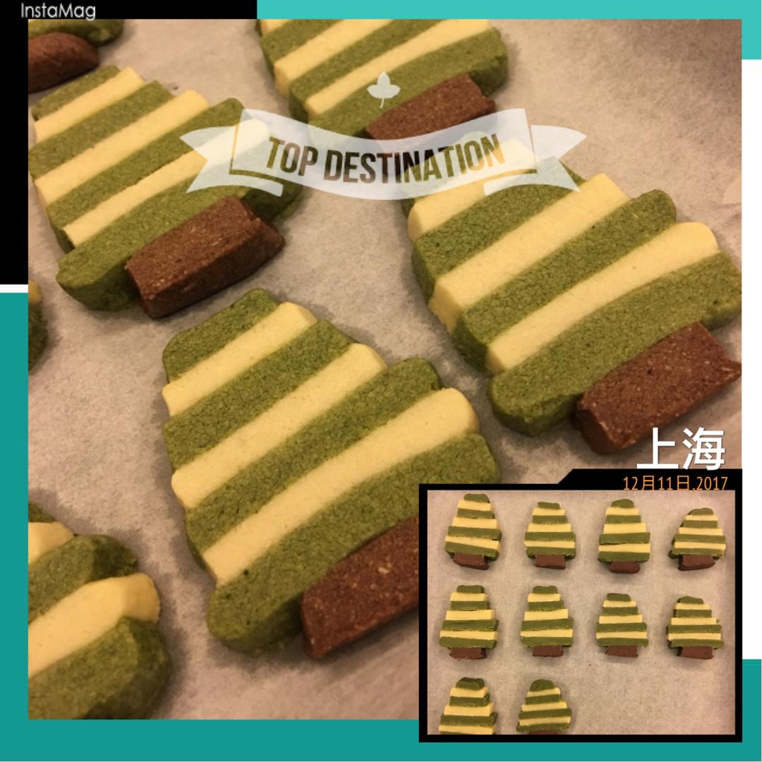 《Tinrry下午茶》教你做圣诞树曲奇