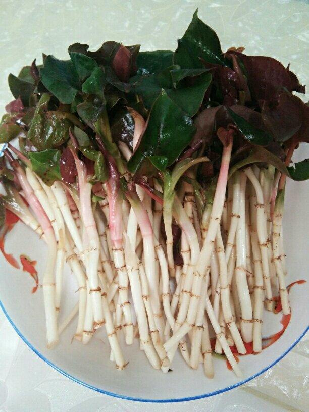 凉拌折耳根