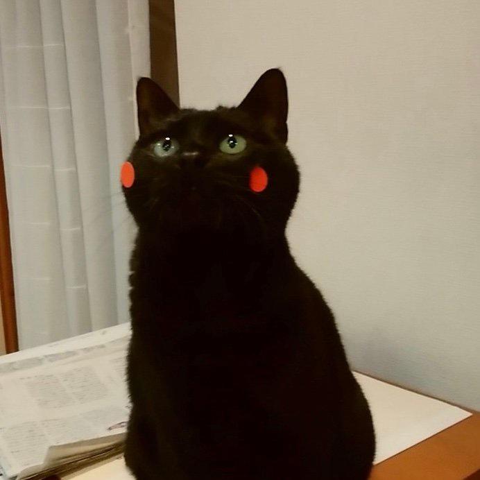 tesueya