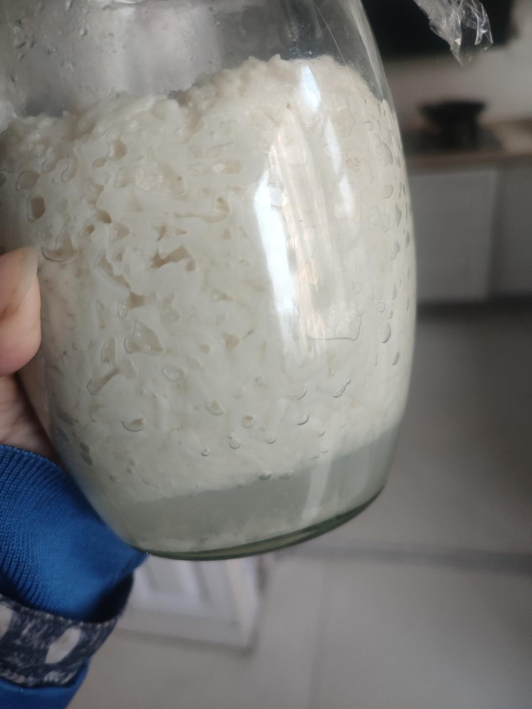 6分钟自制米酒【省事米酒最简易的打开方式】ヽ(•̀ω•́ )ゝ自制酒糟.醪糟.酒酿