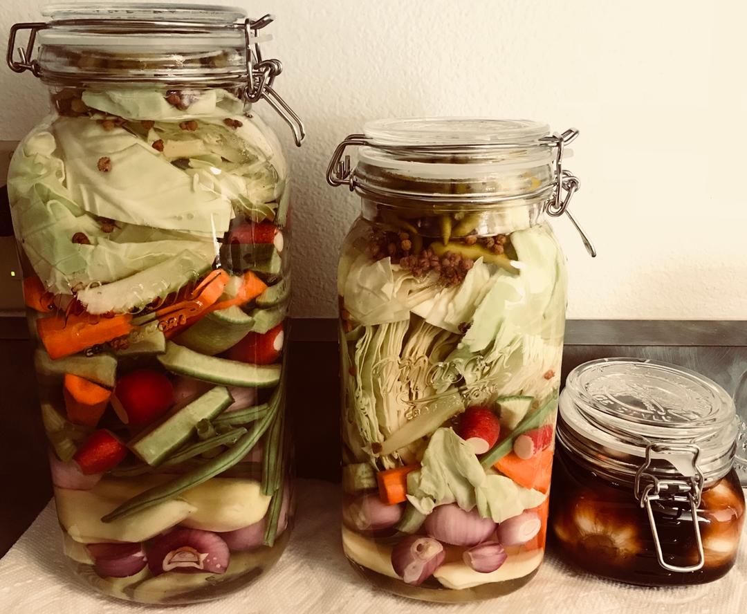 不易坏的四川泡菜（生水版）