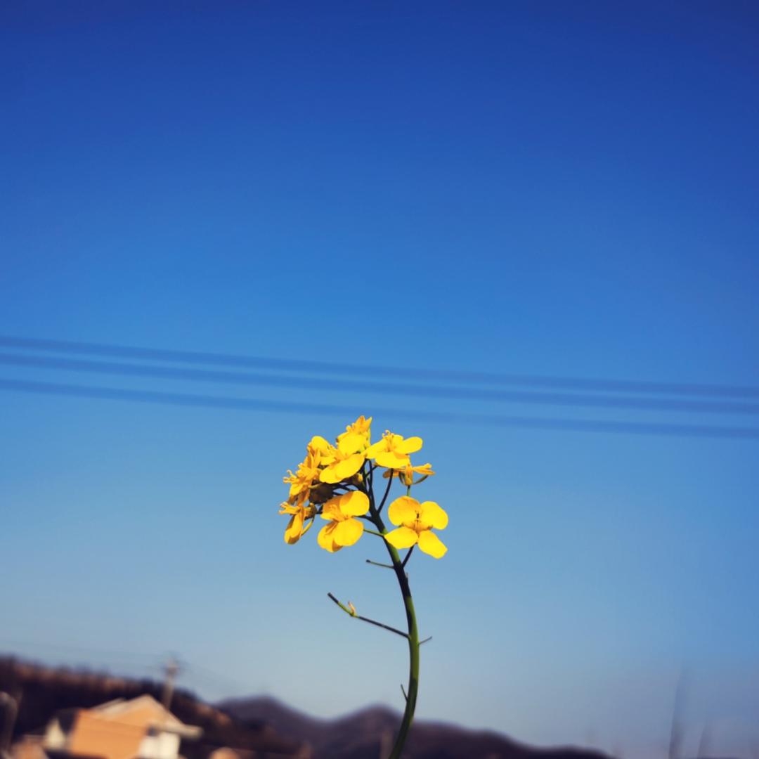 愿时光永如初见