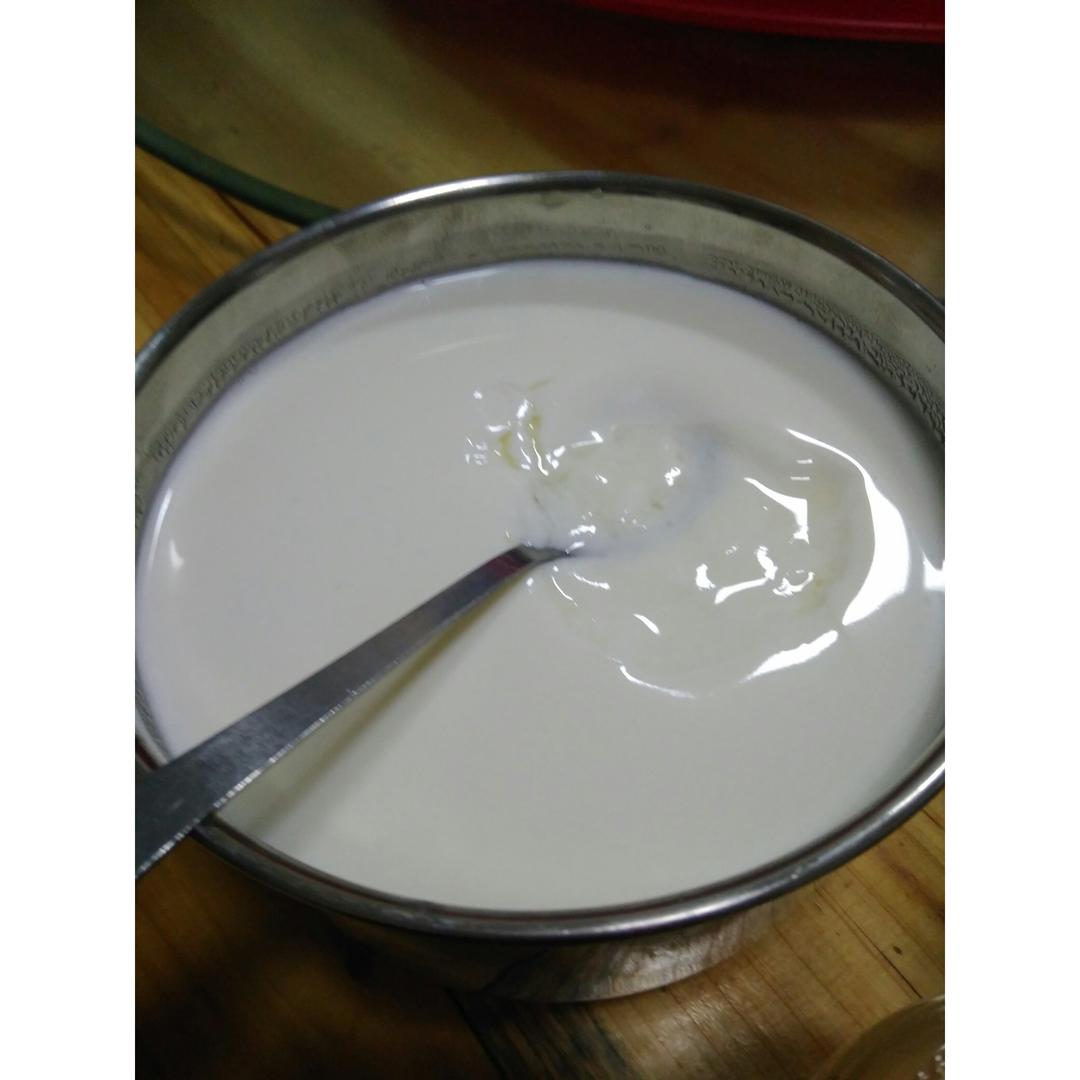 自制老酸奶
