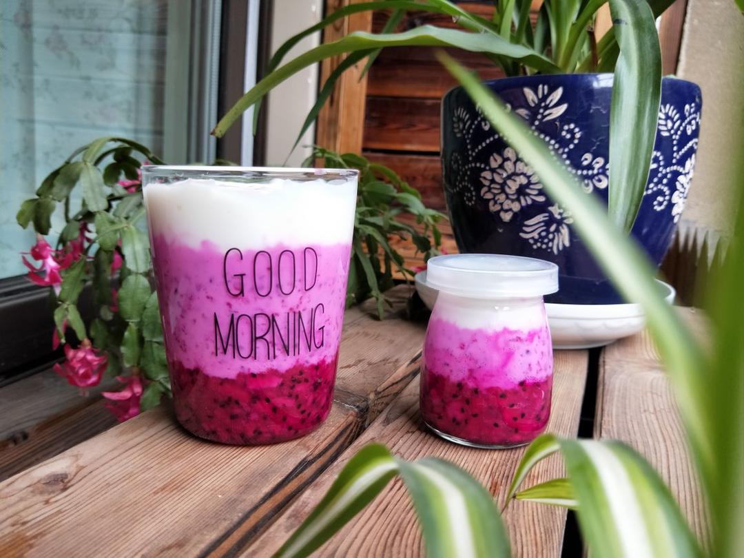 美少女火龙果渐变酸奶