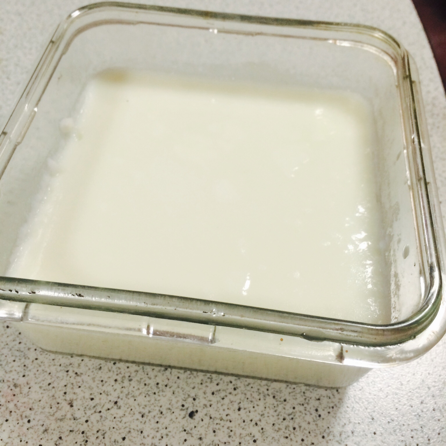 超级简单的炖奶（零失败新手菜）