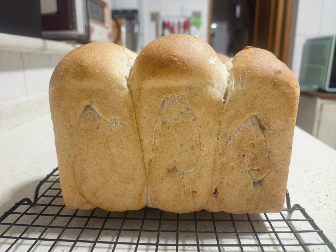 🍞| 全麦红糖红枣核桃吐司