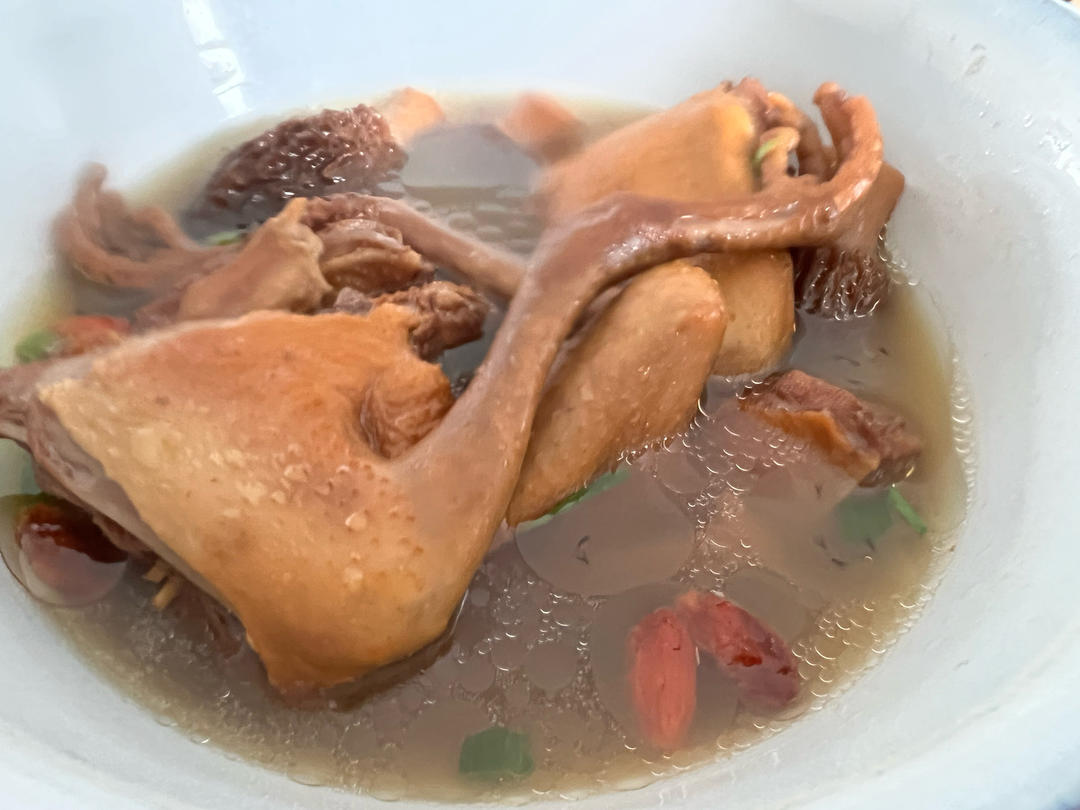 羊肚菌炖乳鸽汤 好喝不胖的美容汤