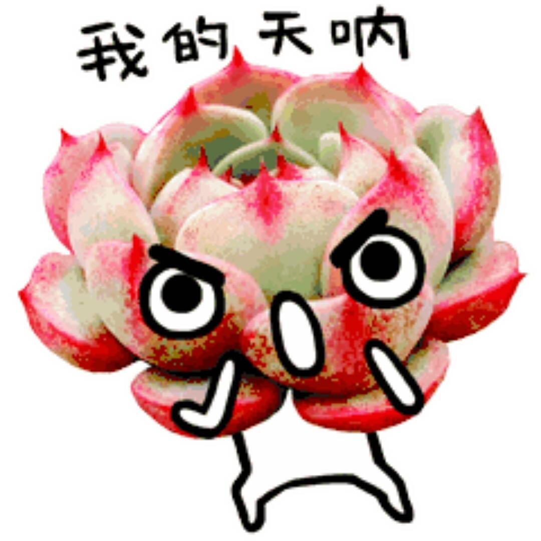 笑笑和东哥的小日子