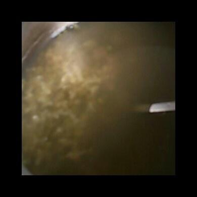 薄荷绿豆汤（小时候的味道）的做法 步骤4