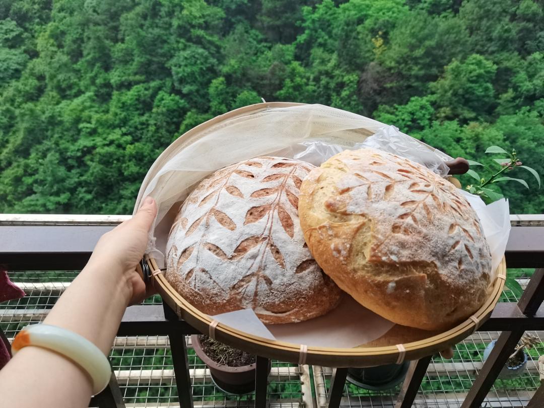 不可能减肥的欧包🥖（超简单！免揉！无油无糖）