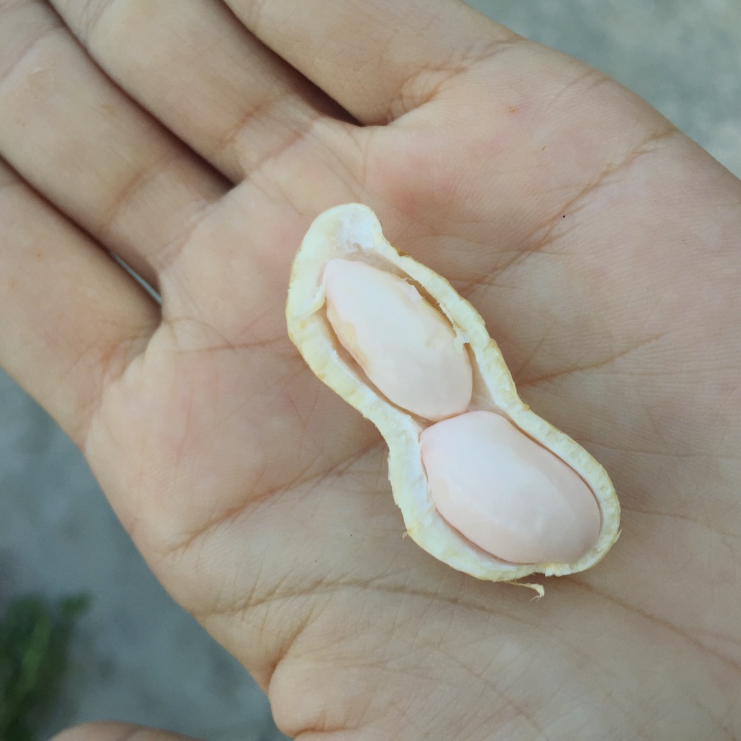 有意思的事