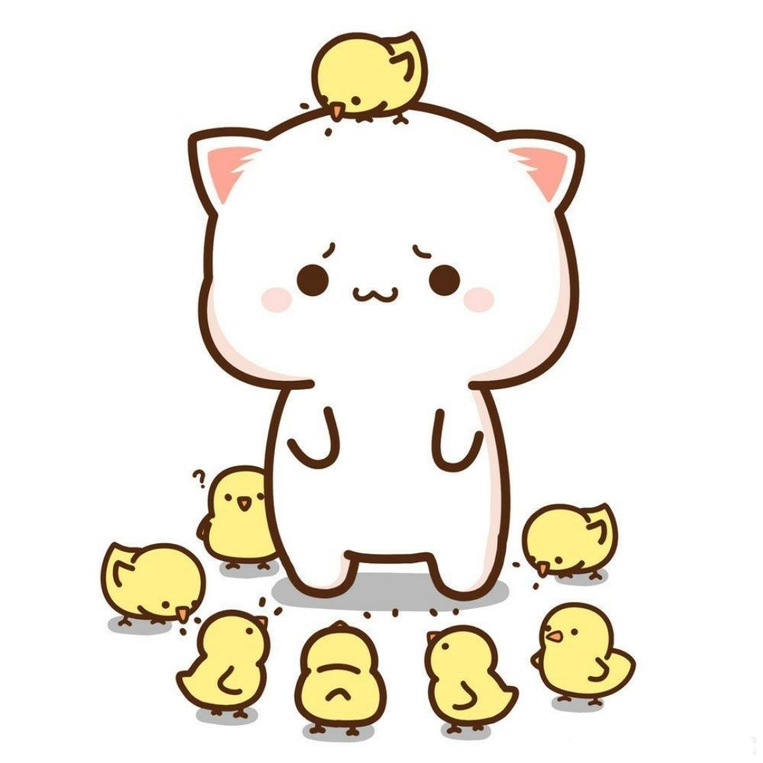 兔啵奔