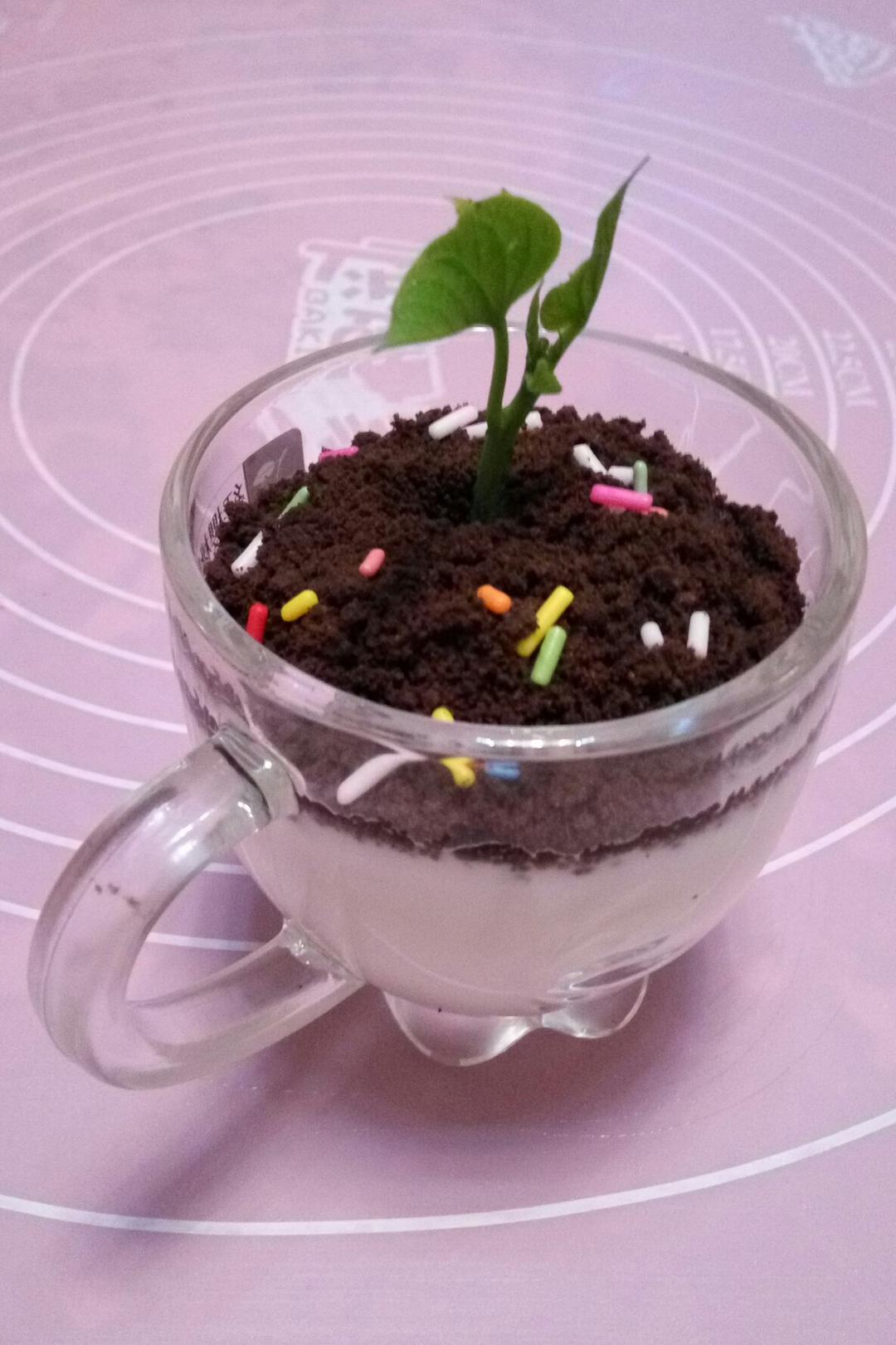 盆栽酸奶