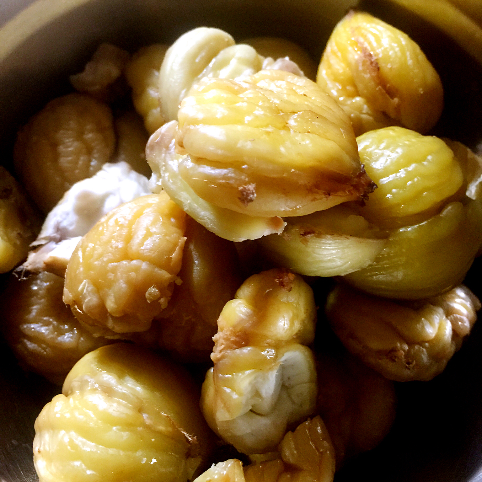 慵懒美丽的栗子