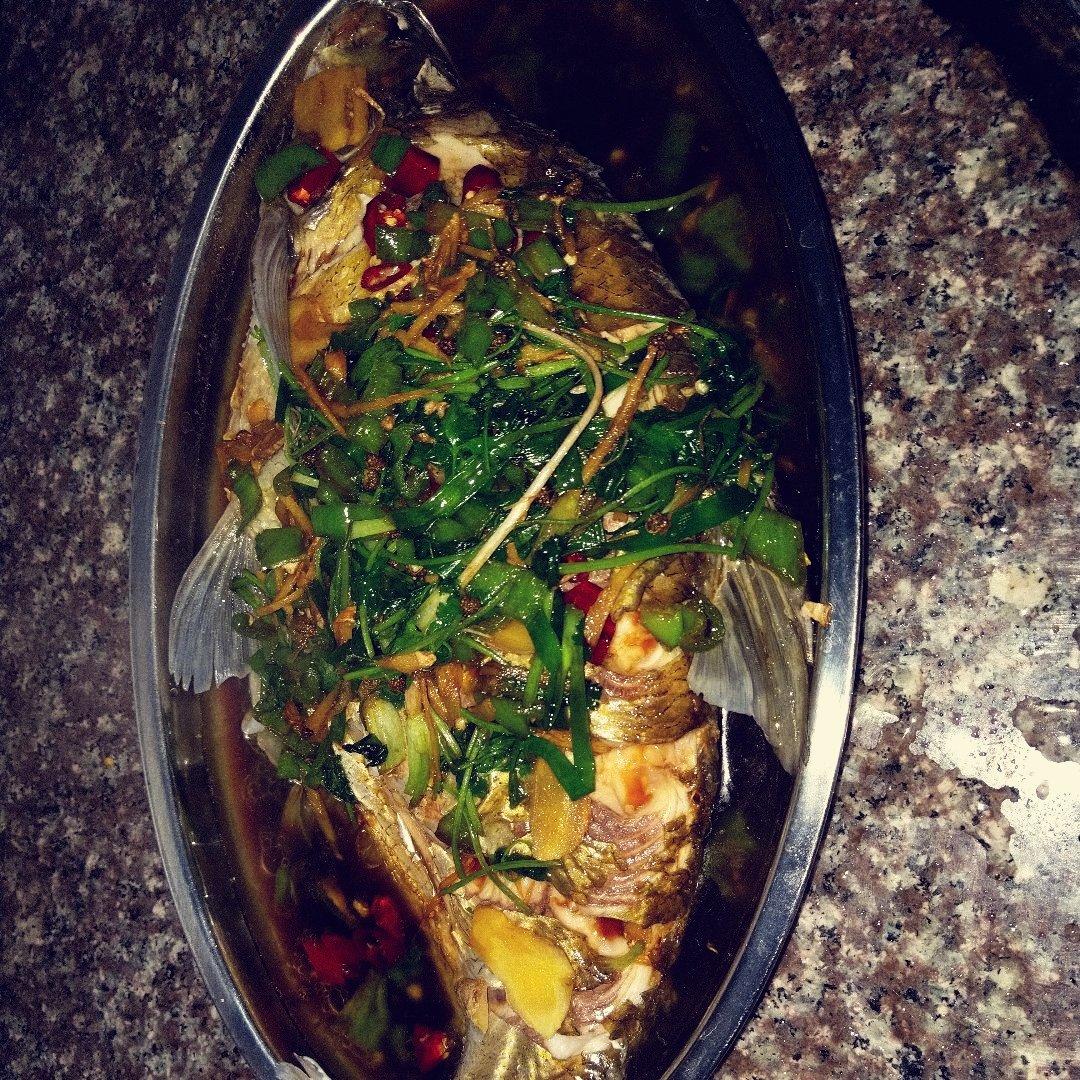 手机用户2670_yslo做的清蒸边鱼