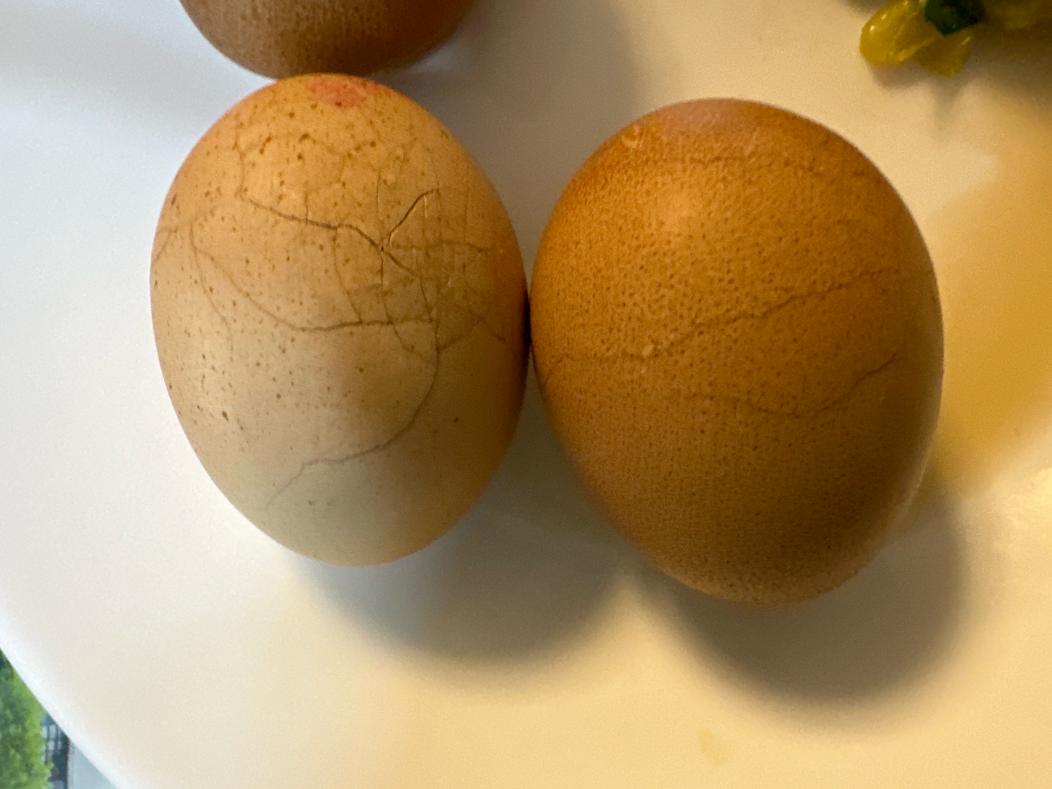 立夏的固肾食方：核桃壳煮鸡蛋