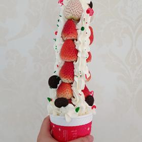 草莓塔🍓