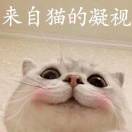 宿命之手