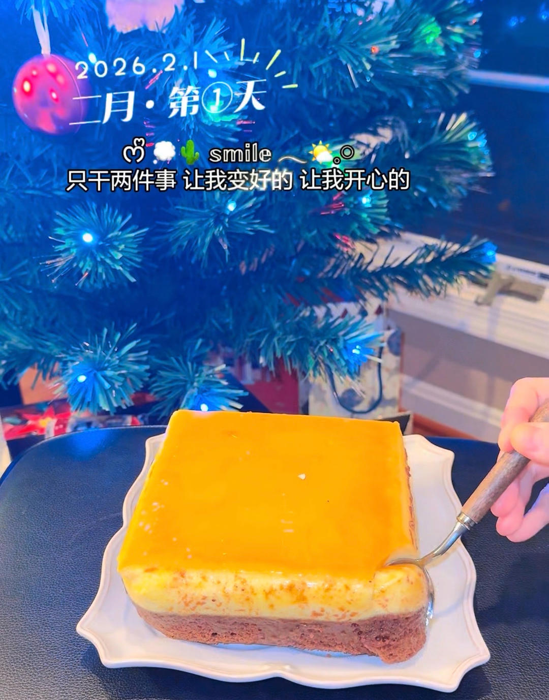 焦糖可可布丁烧/布丁蛋糕