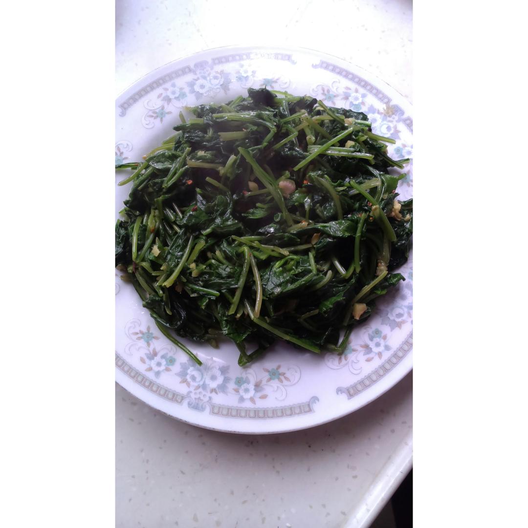 酱爆萝卜樱