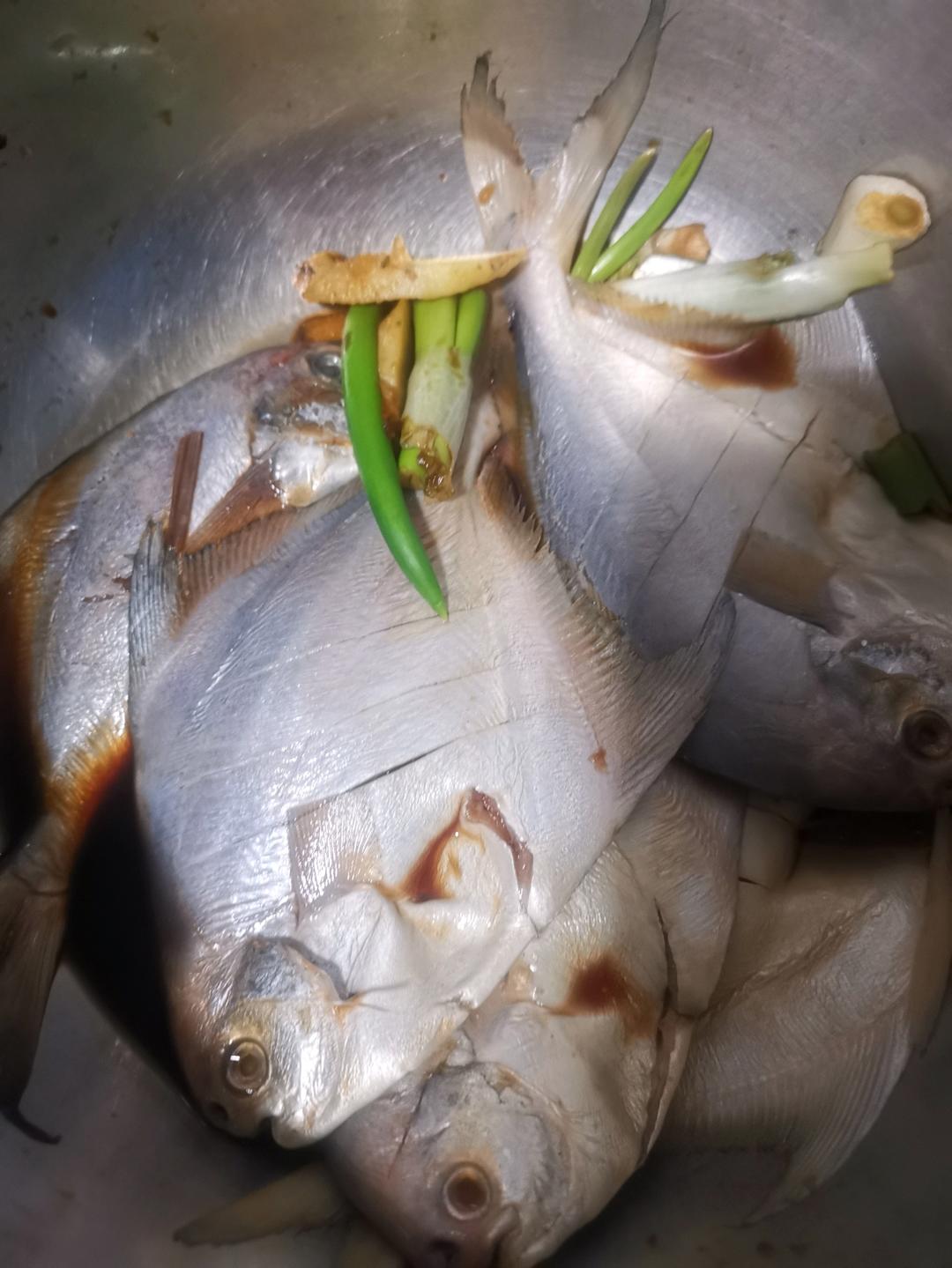 灌汤小笼包+白玉翡翠卷【3月北鼎蒸炖锅食谱】