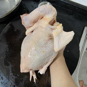香辣沙姜焖鸡的做法 步骤1