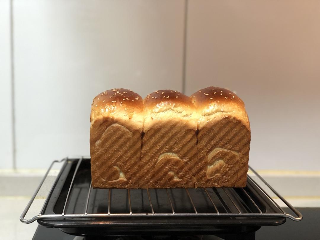 《Tinrry+》软绵绵的白吐司