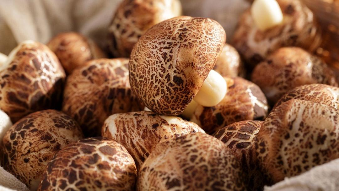 【香菇馒头】如何做以假乱真的香菇小馒头的做法