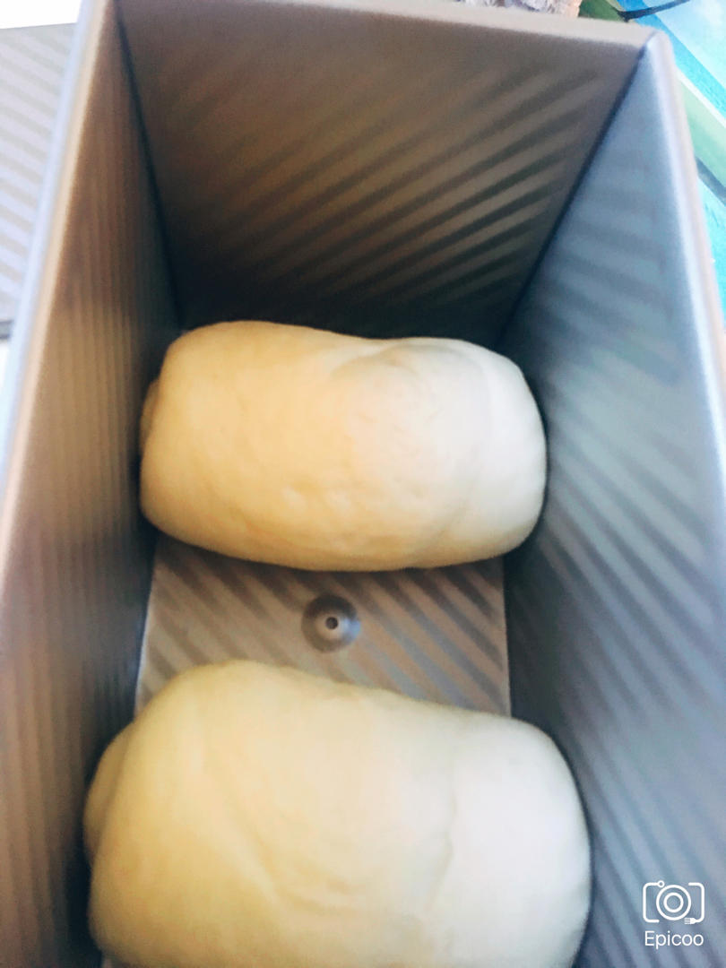 用烤箱自己做面包--手工牛奶吐司面包