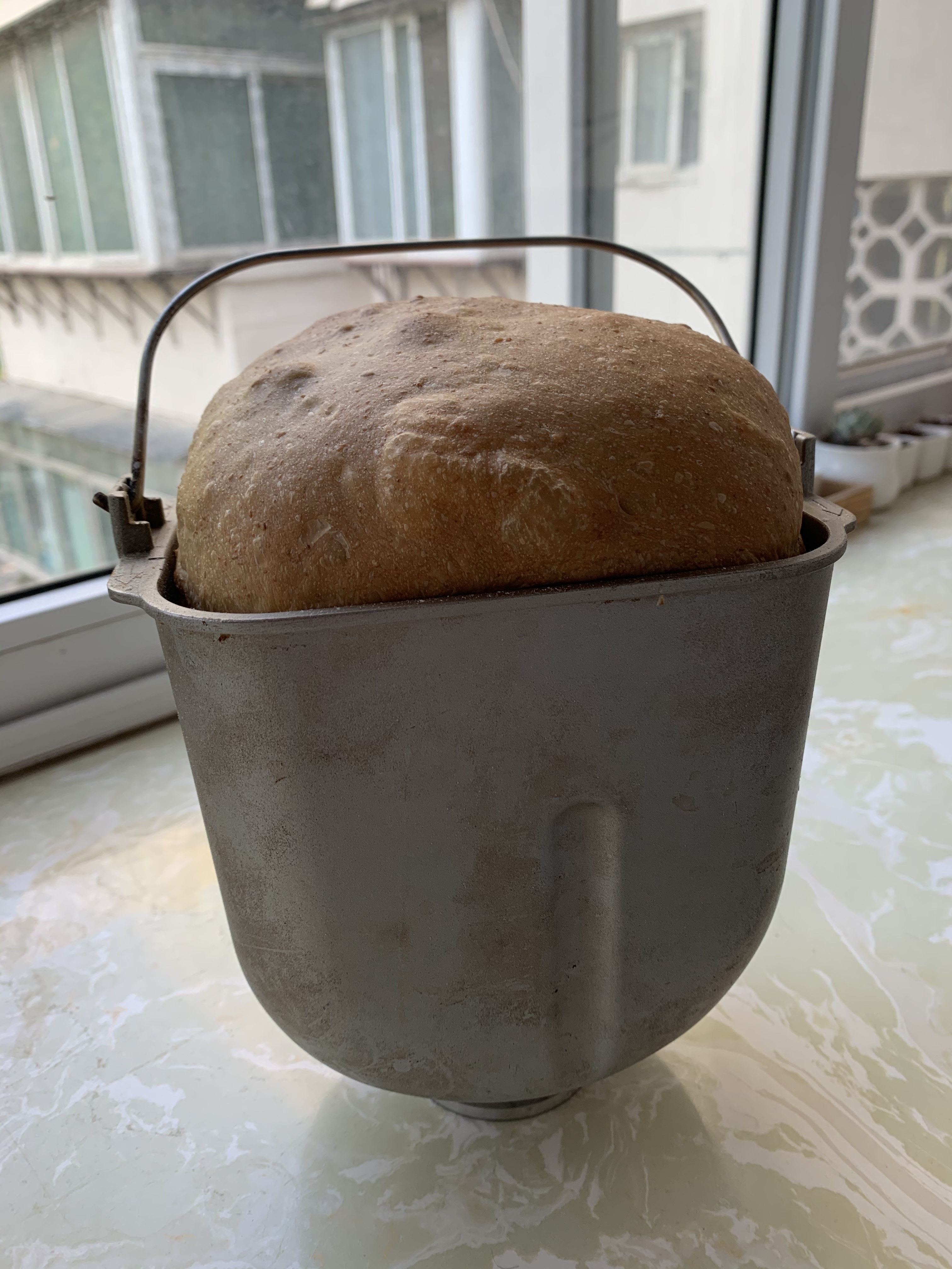 特别经典的富强粉全麦黑加仑核桃仁吐司-面包机版的做法 步骤6