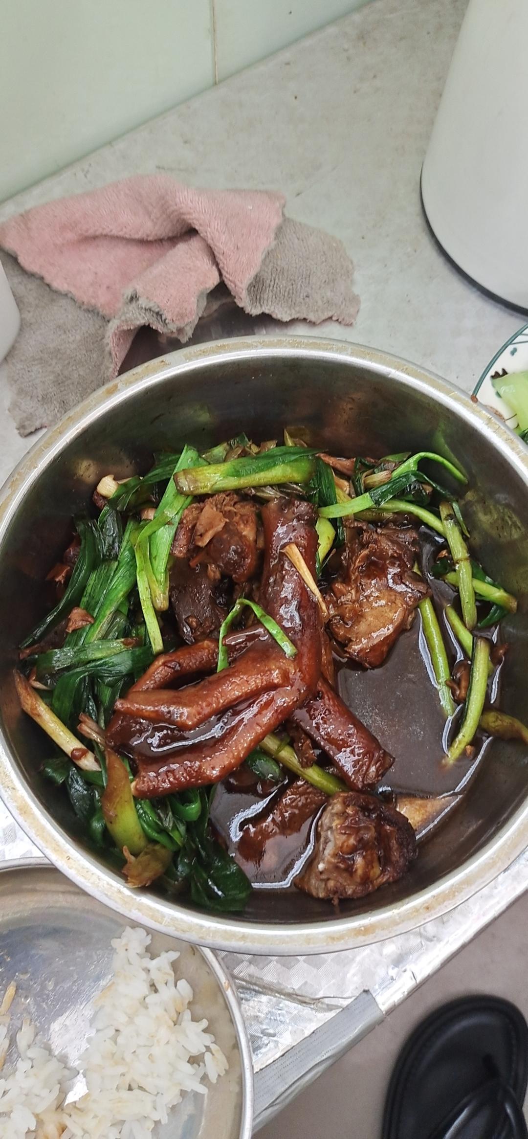 ✨赞不绝口的碌鸭