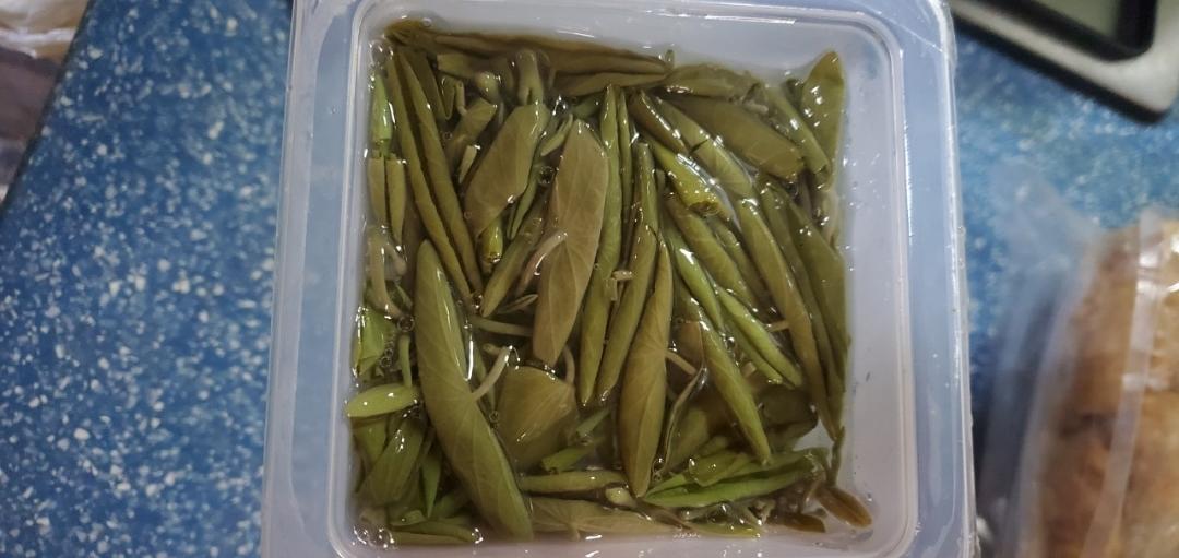 爱尝鲜的蔬果宇宙