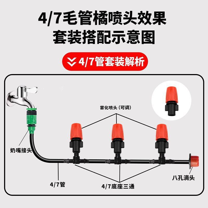 204盆栽浇水注意控水见干见湿兑液体肥水溶肥药物喷叶及灌根耐雨淋品种的做法