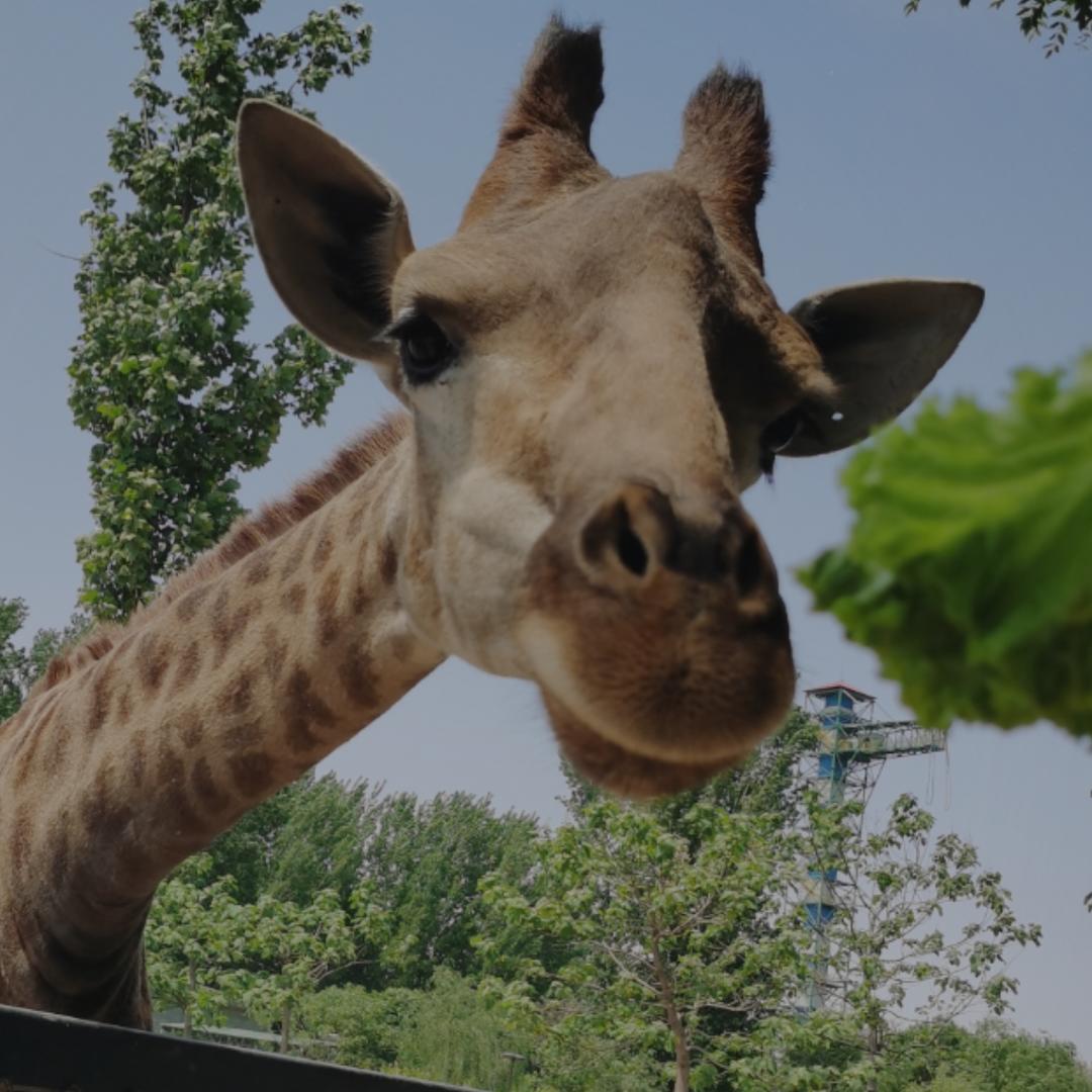 还是要相信群众呀