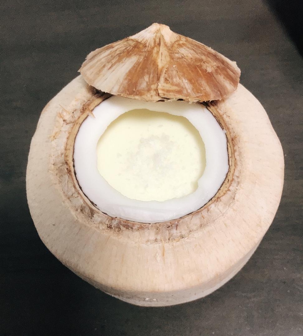 oreapear做的椰奶冻椰子冻附开椰子法