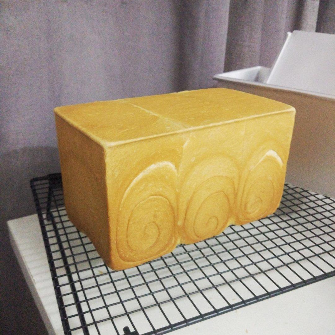 小鱼的小鱼缸