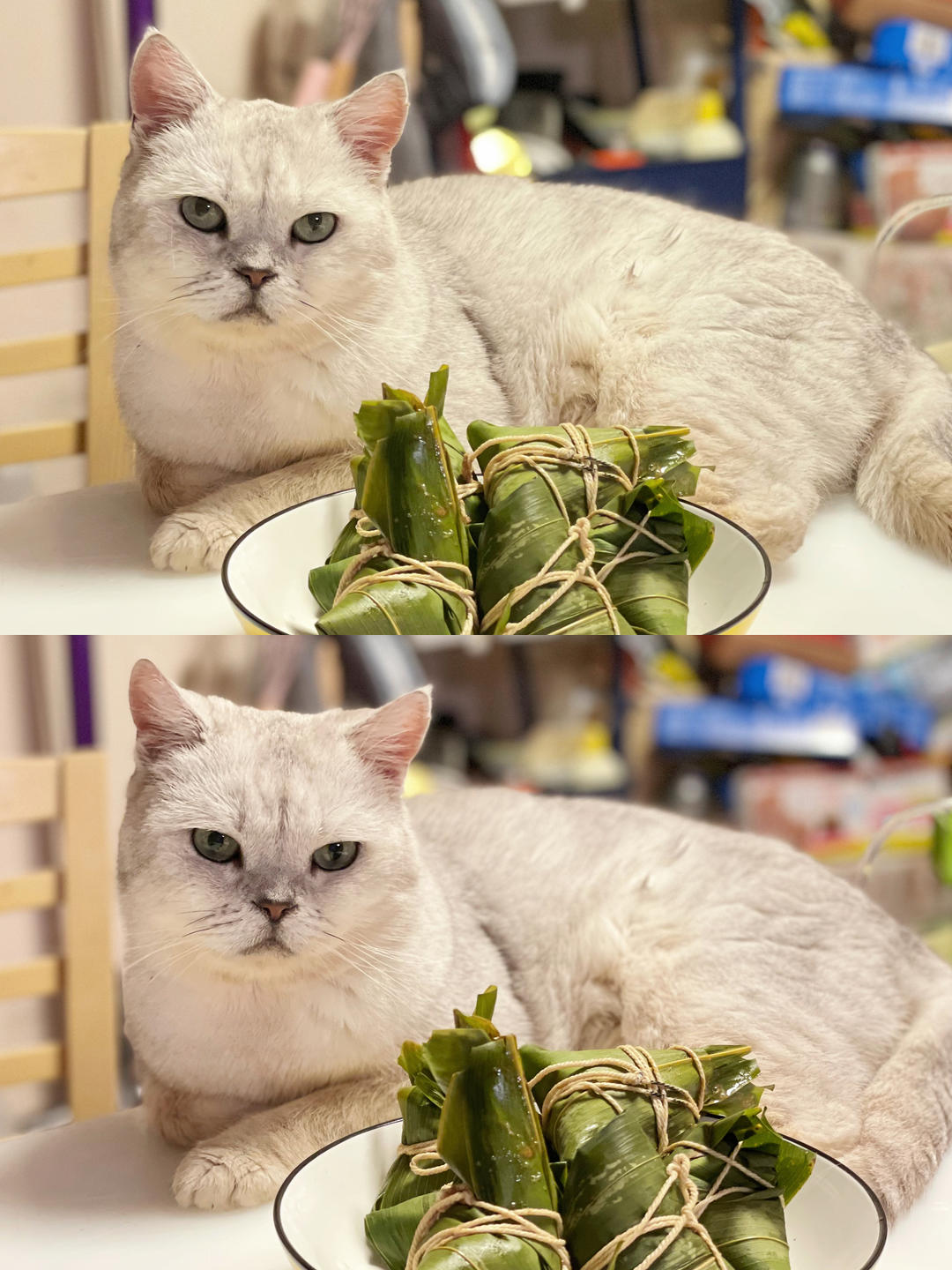 🍃2种经典口味粽子｜碱水米粽（水晶凉粽）&咸蛋黄肉粽