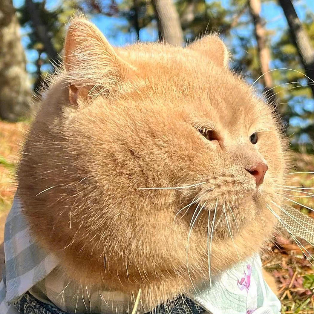 皮家厨房