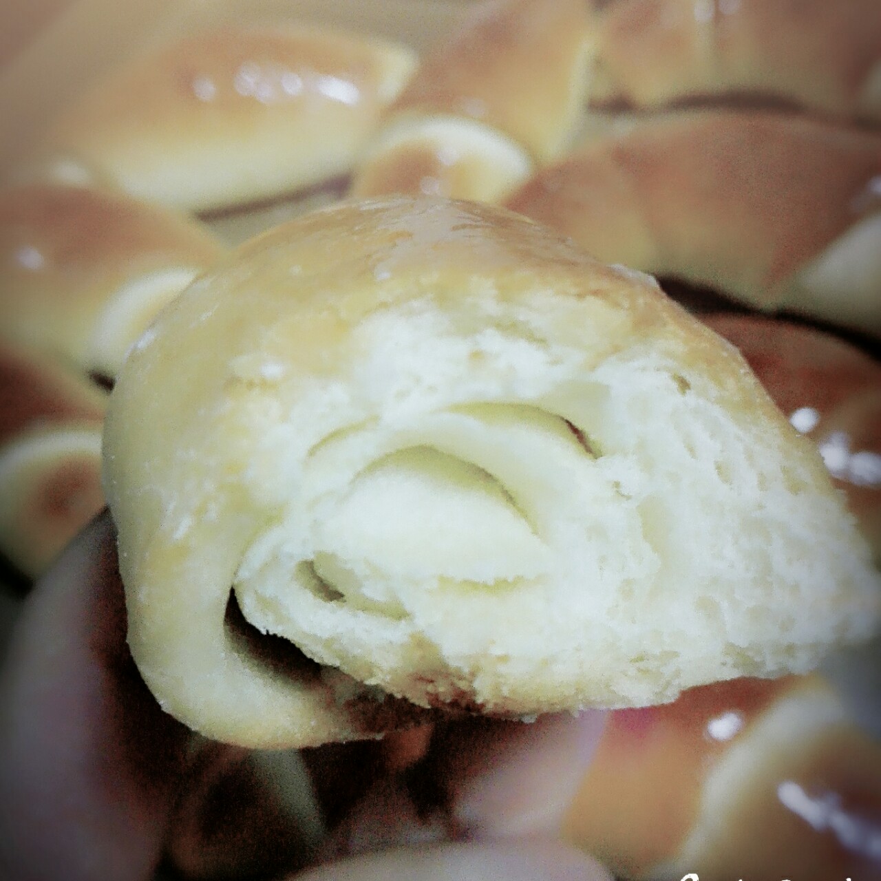 老式油酥面包 Yusu Bread