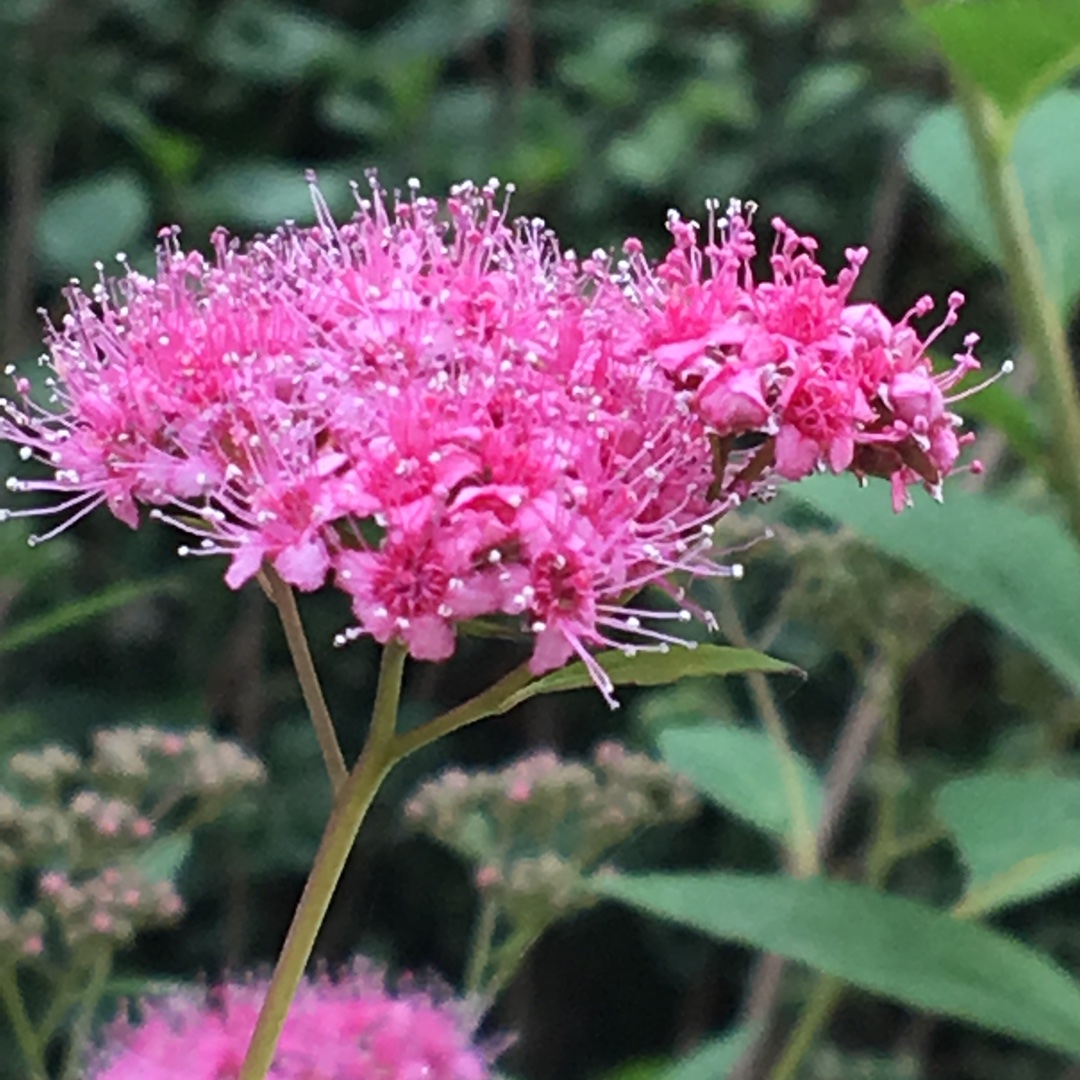 手机用户7058_fivb