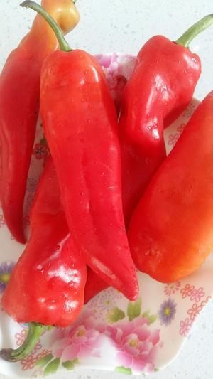 腌黄瓜（非常好吃的咸菜）的做法 步骤2