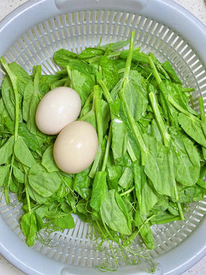豌豆尖鸡蛋汤‼️♨️的做法 步骤1
