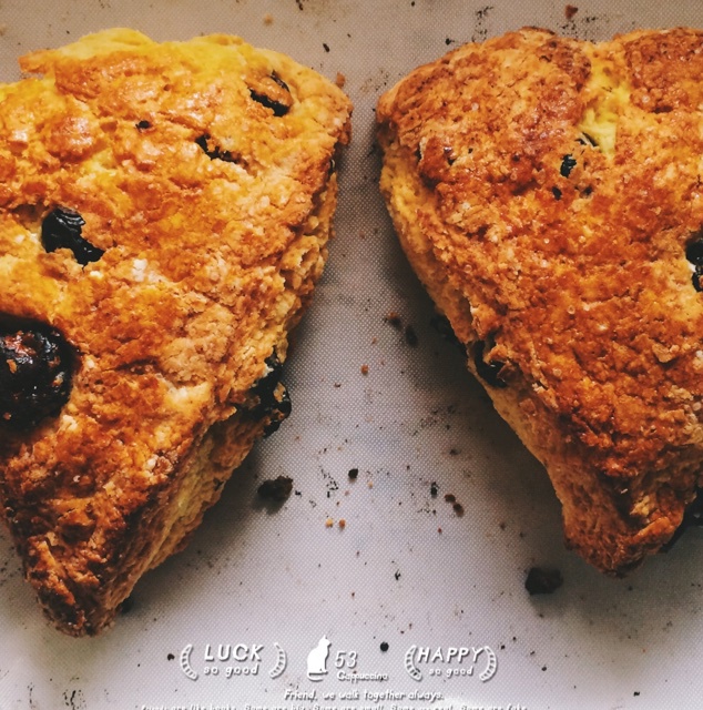 蓝莓司康 Blueberry Scone