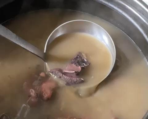 袪湿汤-鸡骨草煲猪横脷