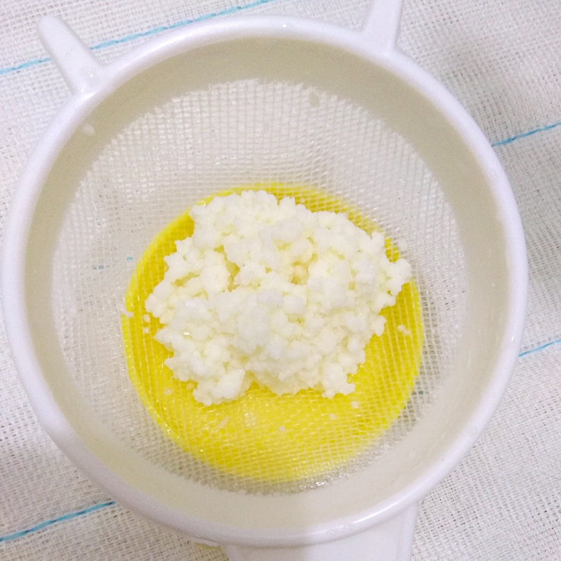 自制希腊酸奶 过滤 西藏灵菇 天山雪莲菌的做法 步骤1