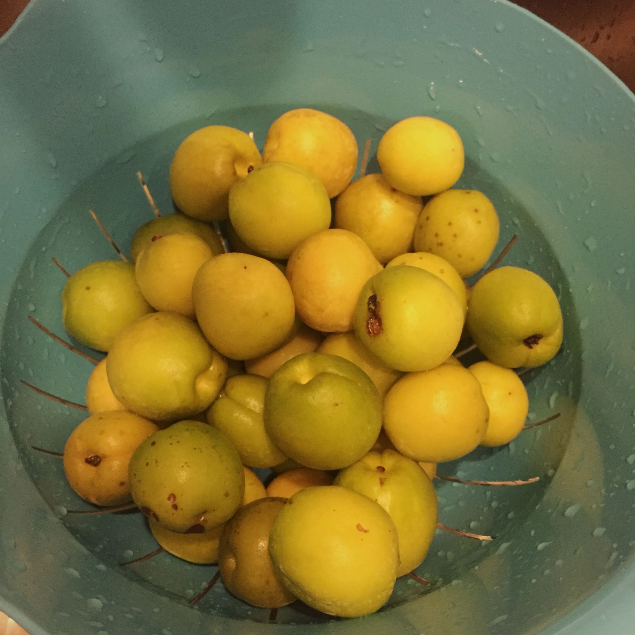 【青梅酒】梅子的沉醉时光（已填坑）